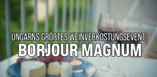 Ungarns größtes Weinverkostungsevent – Borjour Magnum 2024