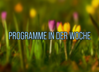 Programme in der Woche vom 12. Februar in Ungarn
