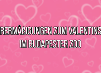 Paarermäßigungen zum Valentinstag im Budapester Zoo