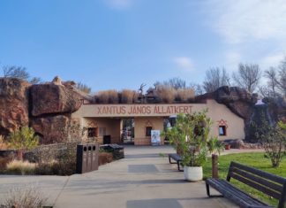 Ein Tag im Zoo von Györ