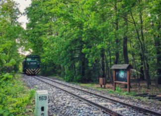 Die Saison der ältesten Eisenbahn Ungarns beginnt wieder