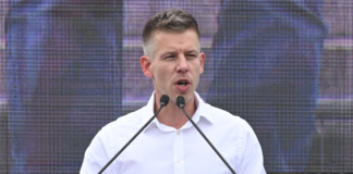 Ein Portrait: Wer ist Péter Magyar?