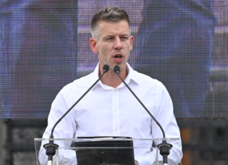 Ein Portrait: Wer ist Péter Magyar?