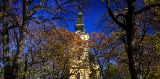 Die grüne Stadt Csongrád