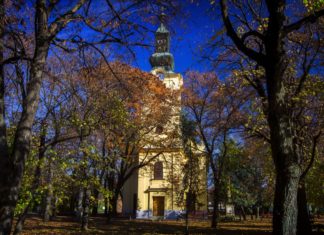 Die grüne Stadt Csongrád