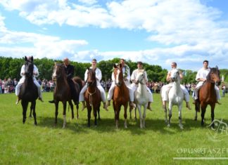 Pfingstprogramme in Ópusztaszer: 19.-20. Mai