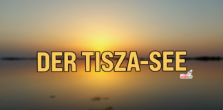 Der Tisza-See und die Umgebung