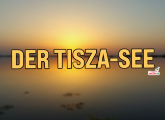 Der Tisza-See und die Umgebung