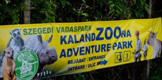 Neuer Abenteuerpark im Szegeder Wildpark eröffnet