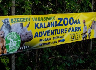 Neuer Abenteuerpark im Szegeder Wildpark eröffnet