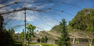 Neues Großkatzenfreigehege im Zoo von Veszprém