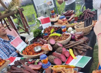 ART Piknik 2024, Pannonhalma: ein Einblick