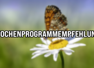 Wochenendveranstaltungen Letztes Augustwochenende in Ungarn