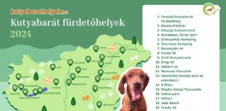 Von ungarischen Hundestränden und wo sie zu finden sind