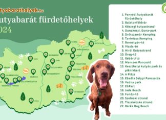 Von ungarischen Hundestränden und wo sie zu finden sind
