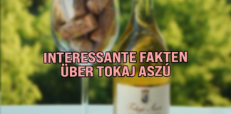 Interessante Fakten über Tokaj Aszú