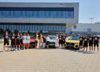 Ungarische Volleyball-Nationalspieler innen bei Audi in Győr
