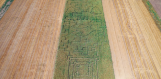 Labyrinth auf dem Maisfeld