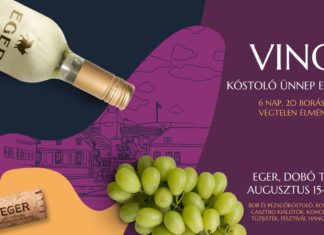 VINO Verkostungsfest – Eger