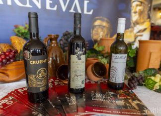 Bester Wein des Savaria Karnevals