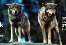 Falka Tage in Répáshuta