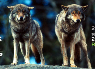 Falka Tage in Répáshuta