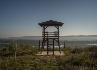 Aussichtstürme-Wochenende – Tamási