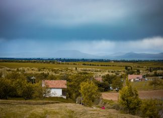 Murci-Festival – Balatonlelle