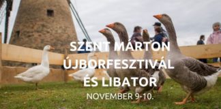 Sankt Martins Tag im Freilichtmuseum Szentendre