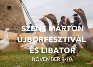 Sankt Martins Tag im Freilichtmuseum Szentendre