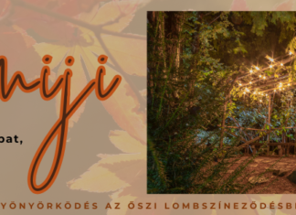 Die leuchtenden Farben des Herbstes im Botanischen Garten Szeged