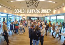 Das Somlói Juhfark Fest