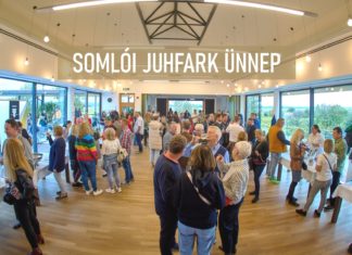 Das Somlói Juhfark Fest