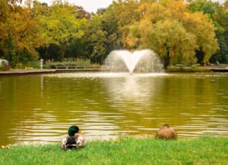 Oktober-Programmvielfalt in Debrecen