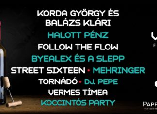 Rotweinfestival in Villány