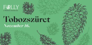 Spektakuläre Zapfenernte im Folly Arboretum für die ganze Familie