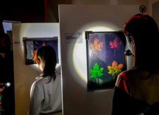 Ausstellung im Agóra in Debrecen eröffnet: Mit Taschenlampen besichtigen