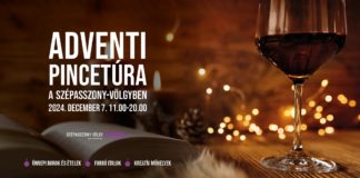 Adventskellertour im Szépasszony-Tal – Eger