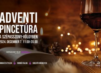 Adventskellertour im Szépasszony-Tal – Eger