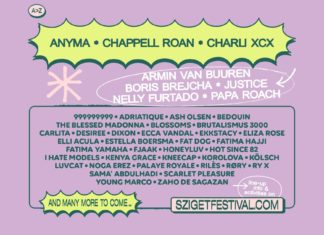 Erste Künstler des Sziget Festivals 2025 angekündigt