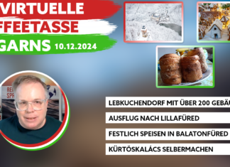 Die Virtuelle Kaffeetasse Ungarns am 10.12.2024