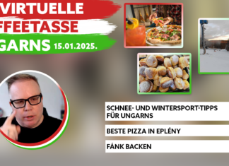 Die Virtuelle Kaffeetasse Ungarns am 15.01.2025