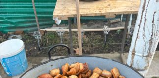 Erfahrungsreport: Schlachtung eines Schweins in Ungarn