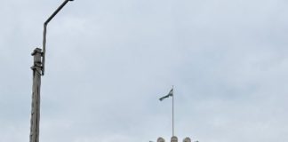 Spannende Seltenheiten aus der Welt der Briefmarken in der Sonderausstellung des Geldmuseums