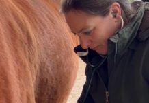 Vom Hobby zum Beruf: Ausbildung zum Pferde-Homöopath startet!