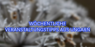 Wöchentliche Veranstaltungstipps aus Ungarn