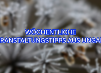 Wöchentliche Veranstaltungstipps aus Ungarn