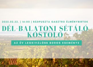 Dél-Balatoni Borélmény: Ein unvergesslicher Abend für Weinliebhaber