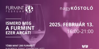 Furmint Februar Große Verkostung mit über achtzig Weingütern