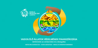 Tag der Wildtiere am Samstag im Budapester Zoo